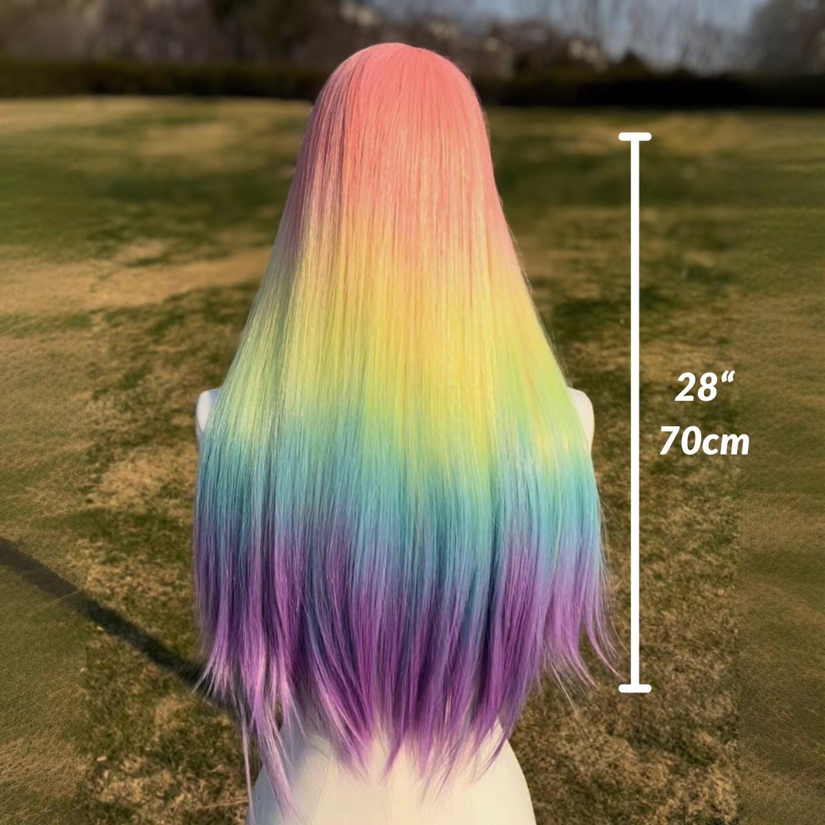 Perruque multicolore, cheveux longs arc-en-ciel lacets : style fantaisie pour Halloween